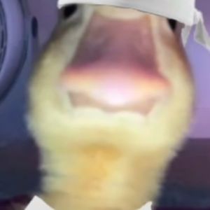 Meet your Posher, Katelynn